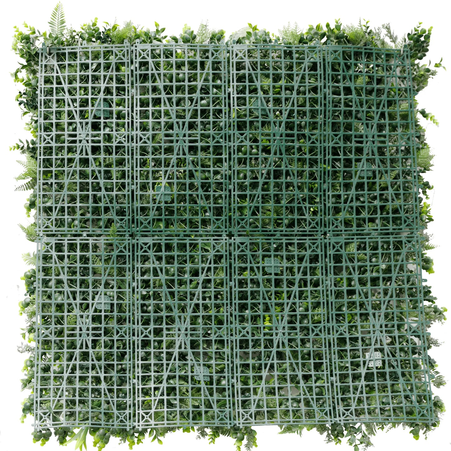 Sample Panel – Natural Boxwood Green Wall (Small Sample)