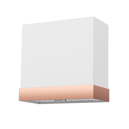 Akicon 30" Stainless Steel Wall Mount Range Hood with 600 CFM Vent Hood - AK-HS30HD-SW