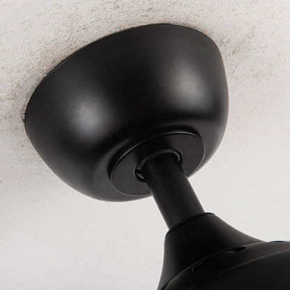 36" Mirelle Farmhouse Downrod Mount Ceiling Fan with Lighting and Remote Control