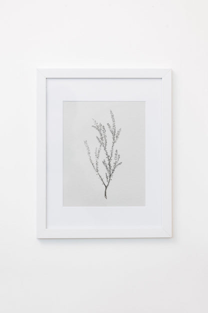 Enid Wall Art