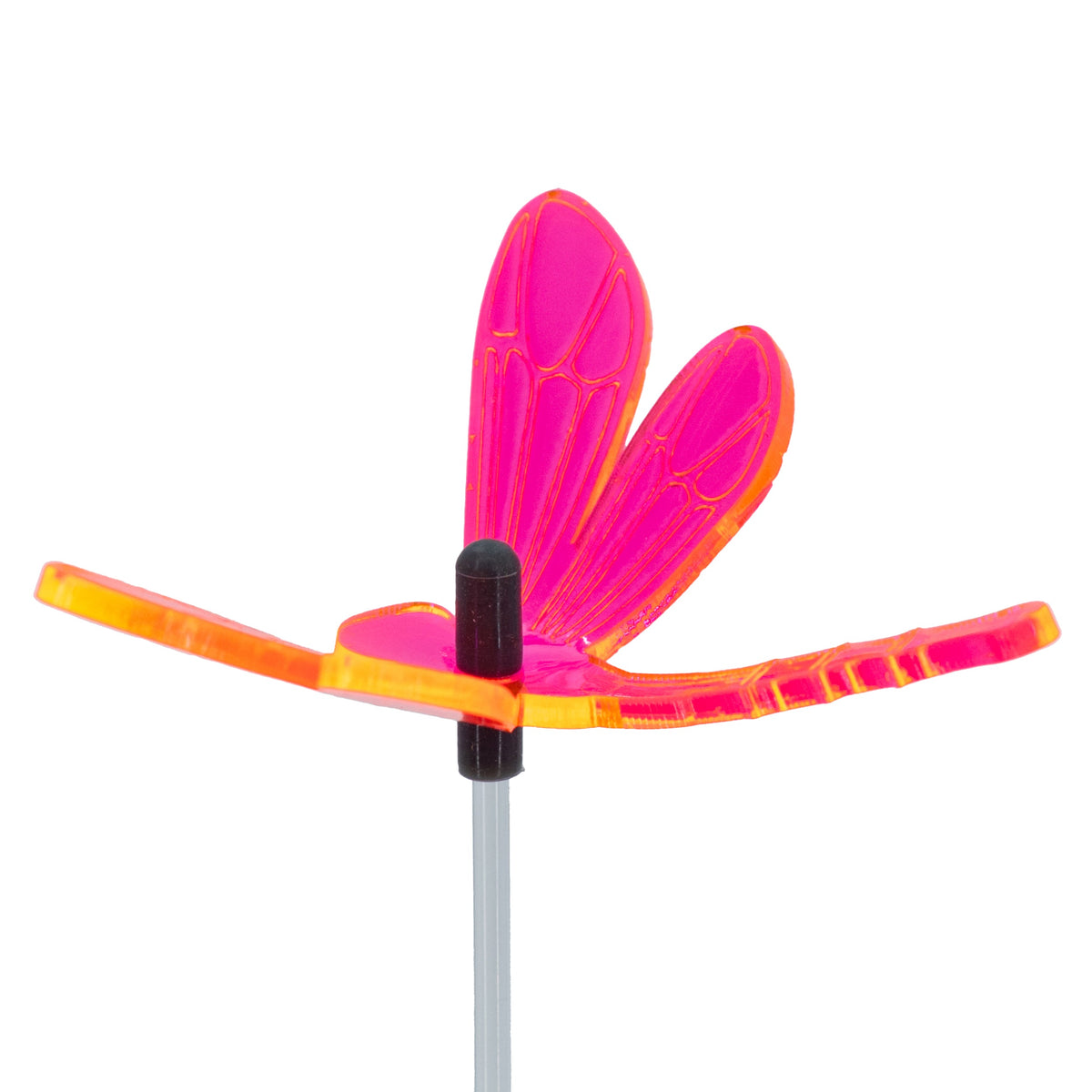 Large Garden Dragonfly | Multiple Colors | Glowing Creation