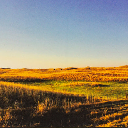 The Grass Was The Country Nebraska Postcard | 8 x 6 in | Sietsma Publishing