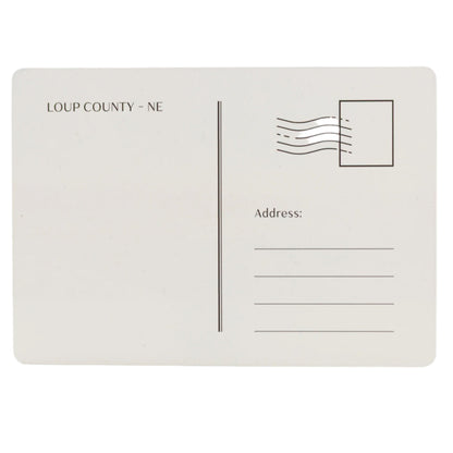 The Grass Was The Country Nebraska Postcard | 8 x 6 in | Sietsma Publishing