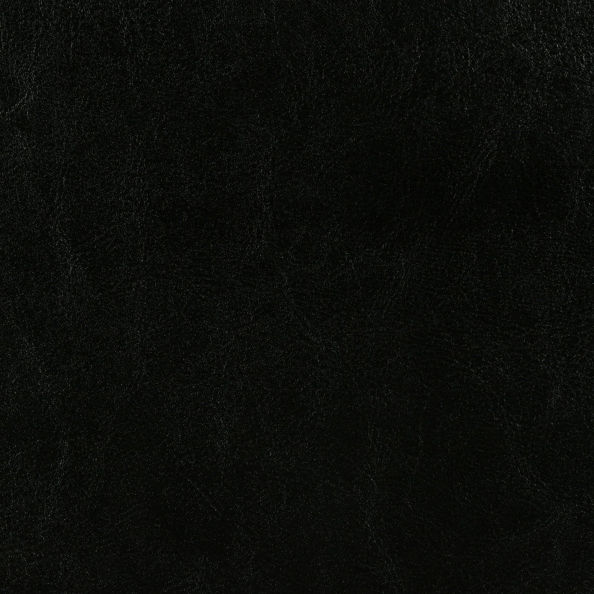 Dorian Faux Leather Upholstered Queen Panel Bed Black