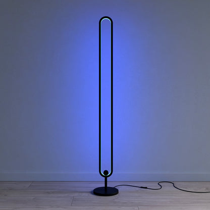 RGB Floor Lamp