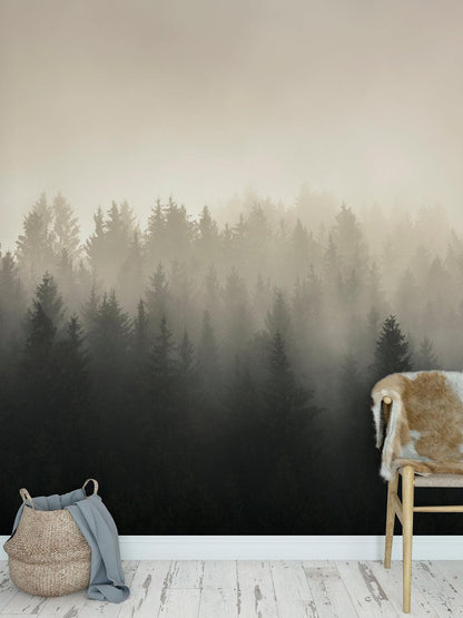 Misty Pine Forest Wall Mural. Peaceful Foggy Morning Scenery. #6122