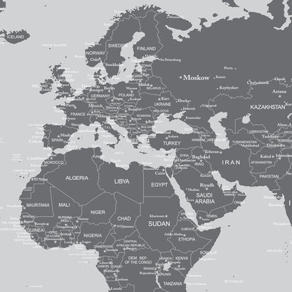 World Map Wallpaper Mural (Grey). #6133
