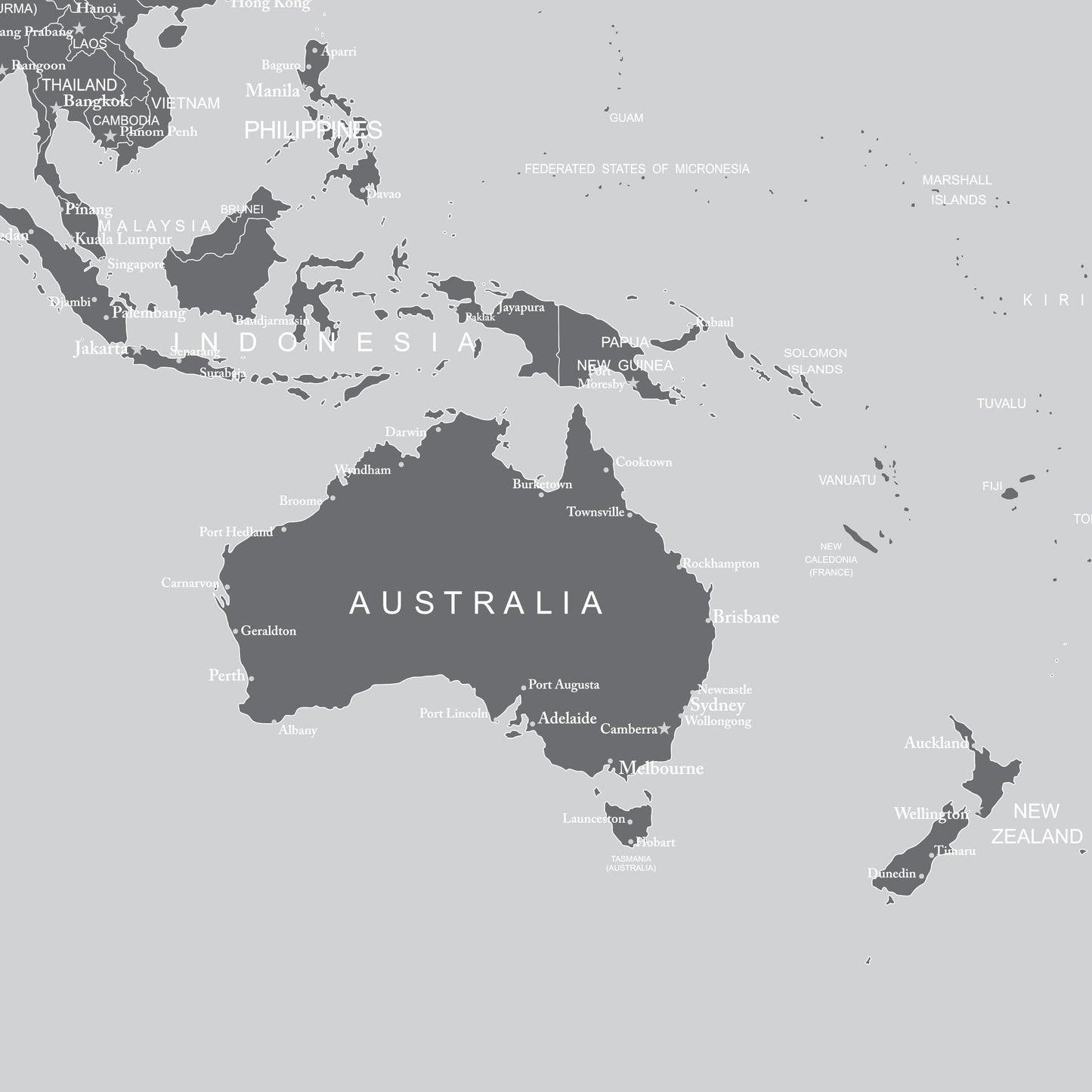 World Map Wallpaper Mural (Grey). #6133