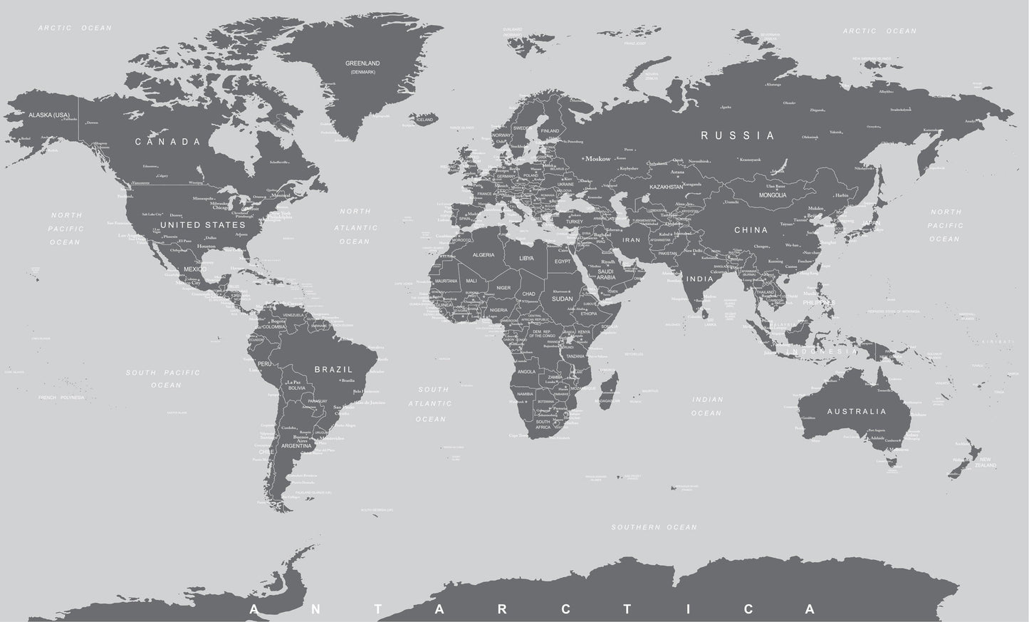 World Map Wallpaper Mural (Grey). #6133