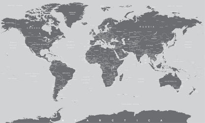 World Map Wallpaper Mural (Grey). #6133