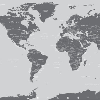 World Map Wallpaper Mural (Grey). #6133