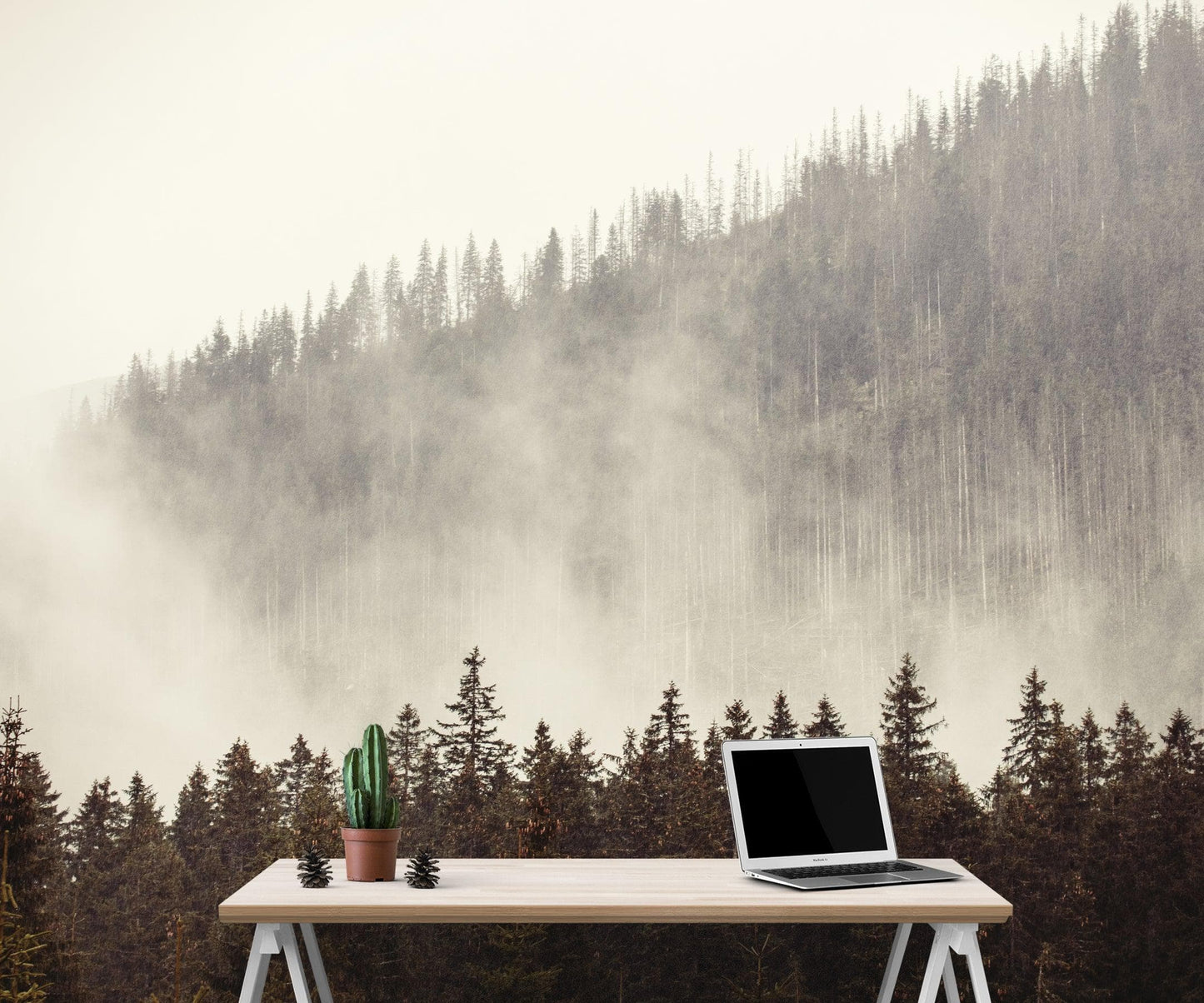 Foggy Misty Forest Tree Over Mountain Wall Mural. #6171