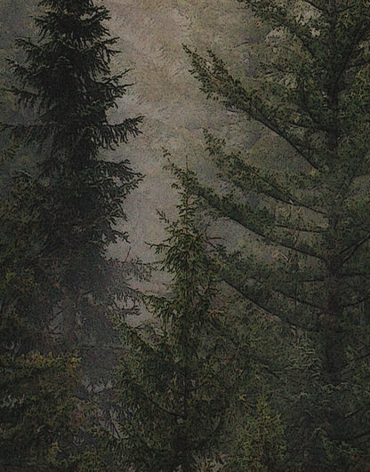 Misty Pine Tree Forest Landscape Wallpaper. Peel and Stick Wall Mural. Self Adhesive Nursery Wall Decor. #6237