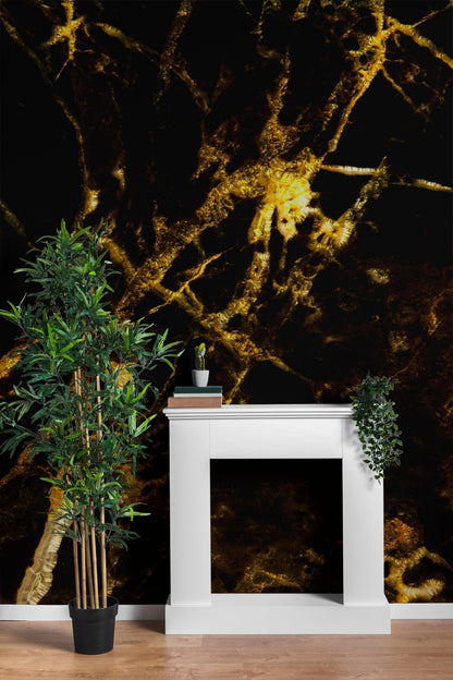 Black and Gold Abstract Marble Stone Peel and Stick Wall Mural. #6239