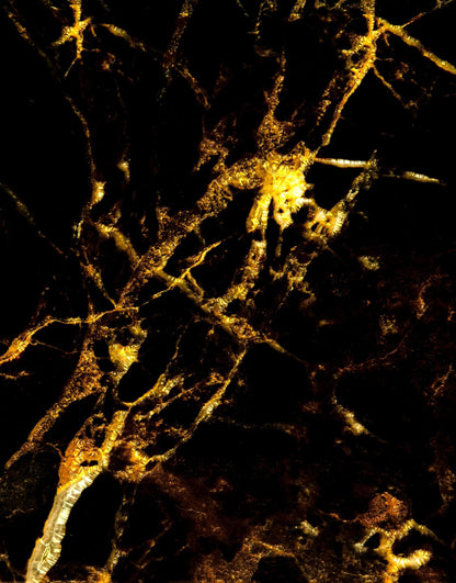 Black and Gold Abstract Marble Stone Peel and Stick Wall Mural. #6239