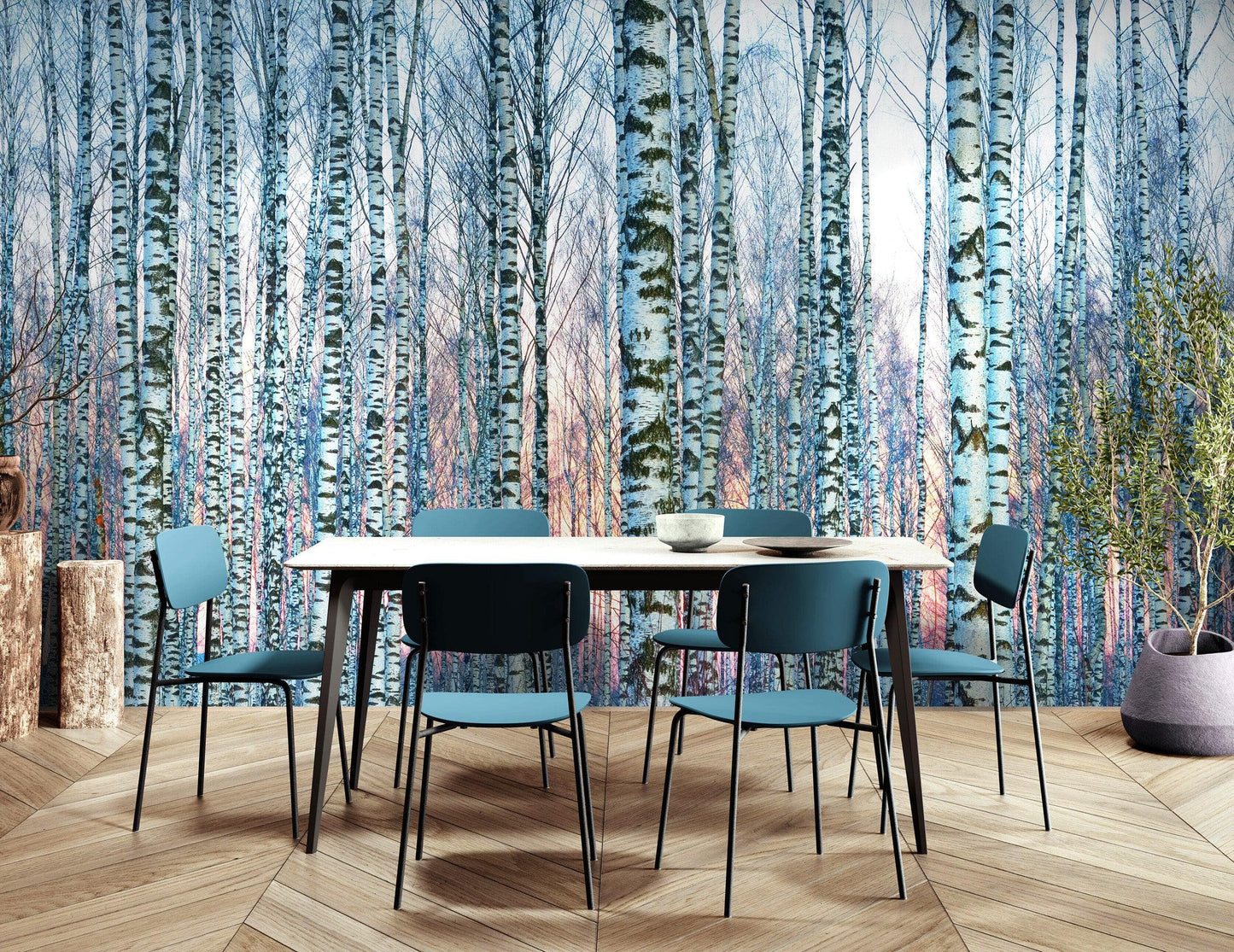 White Birch Tree Forest Wall Mural Wallpaper. Sunset Scenery. #6246
