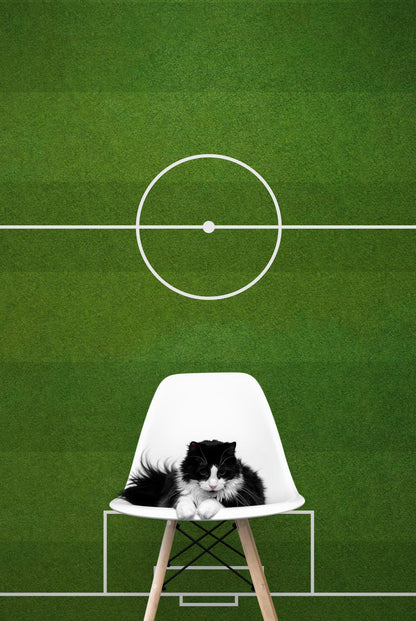 Soccer Field Wallpaper. Football Pitch Wallpaper. Peel and Stick Wall Mural. Soccer Stadium Wallpaper. #6465