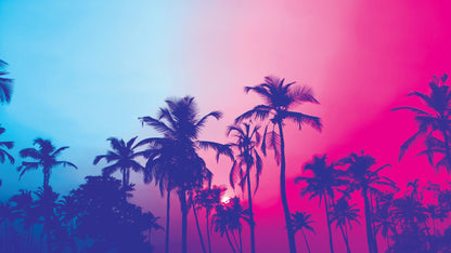 Miami Tropical Palm Tree Vice Color Wall Mural. Bright Miami Vice Blue and Fuchsia Colors. #6281