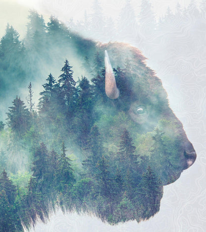 Foggy Mountain Forest View with Bison Buffalo Overlay Natural Scenery Wall Mural #6282.