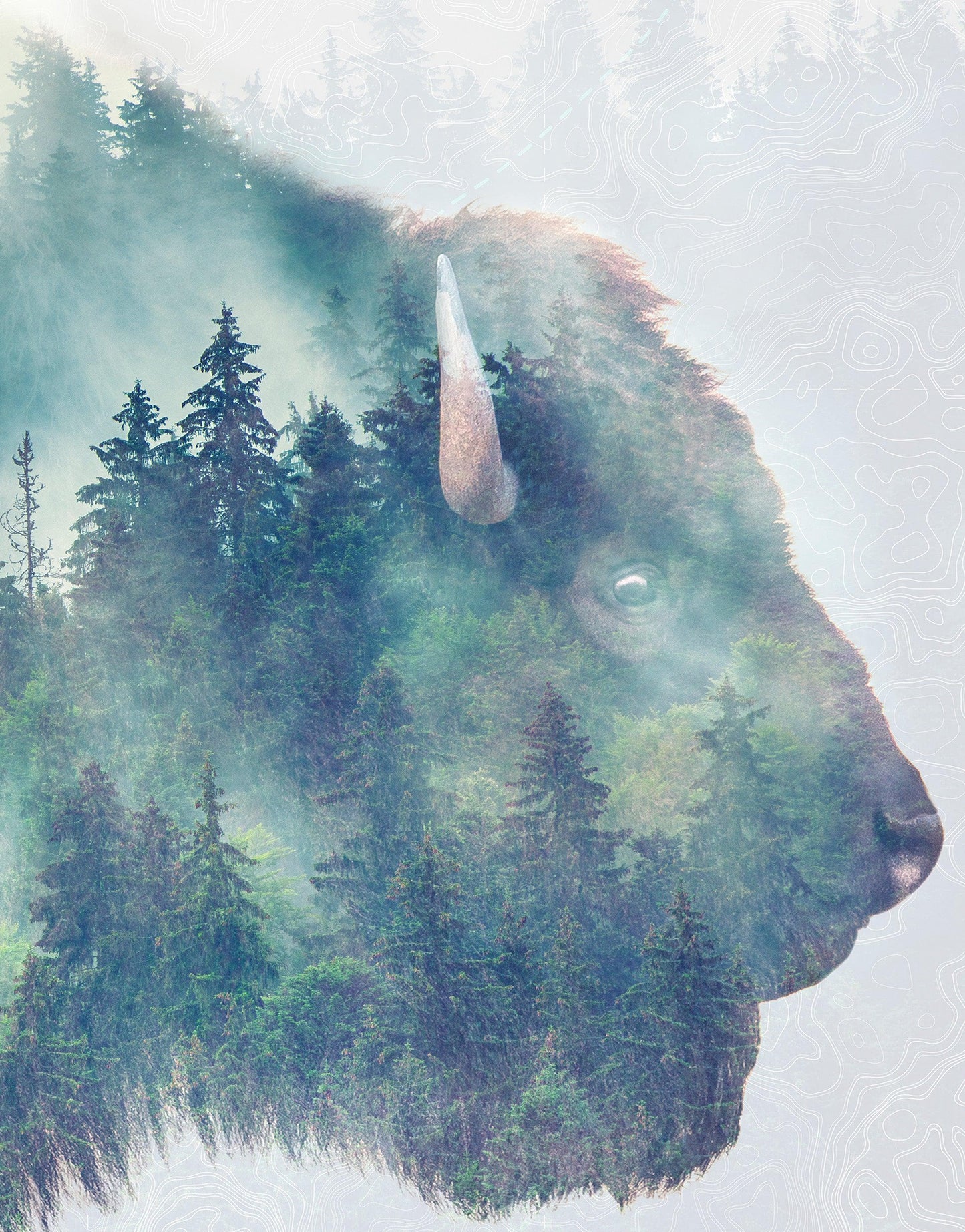Foggy Mountain Forest View with Bison Buffalo Overlay Natural Scenery Wall Mural #6282.