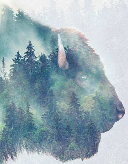Foggy Mountain Forest View with Bison Buffalo Overlay Natural Scenery Wall Mural #6282.