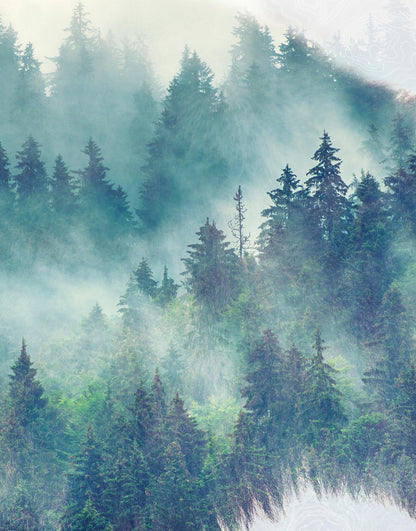 Foggy Mountain Forest View with Bison Buffalo Overlay Natural Scenery Wall Mural #6282.