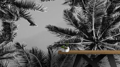 Black and White Tropical Palm Tree Mural. Vintage Summer Vibe. #6315