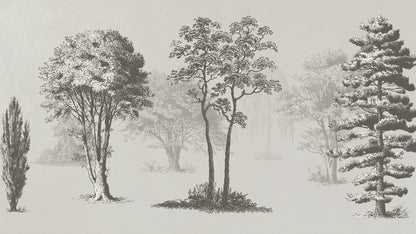 Vintage Forest Trees Wall Mural. Monochrome Abstract Sketched Art Design. Peel and Stick Wallpaper | Removable Wall Mural. #6329
