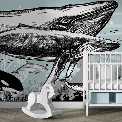Whale, Dolphin, Killer Whale Wall Mural. Underwater Sea Life Drawing Design. Peel and Stick Wall Mural. #6354