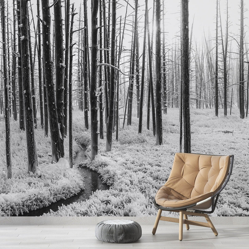 Black and White Forest Landscape Wall Mural. Peel and Stick Wallpaper. #6365, view 2