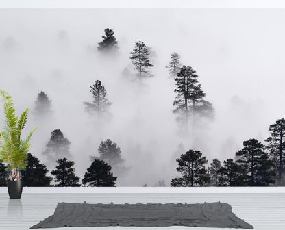 Foggy Forest Wallpaper Black and White Wall Mural. #6368