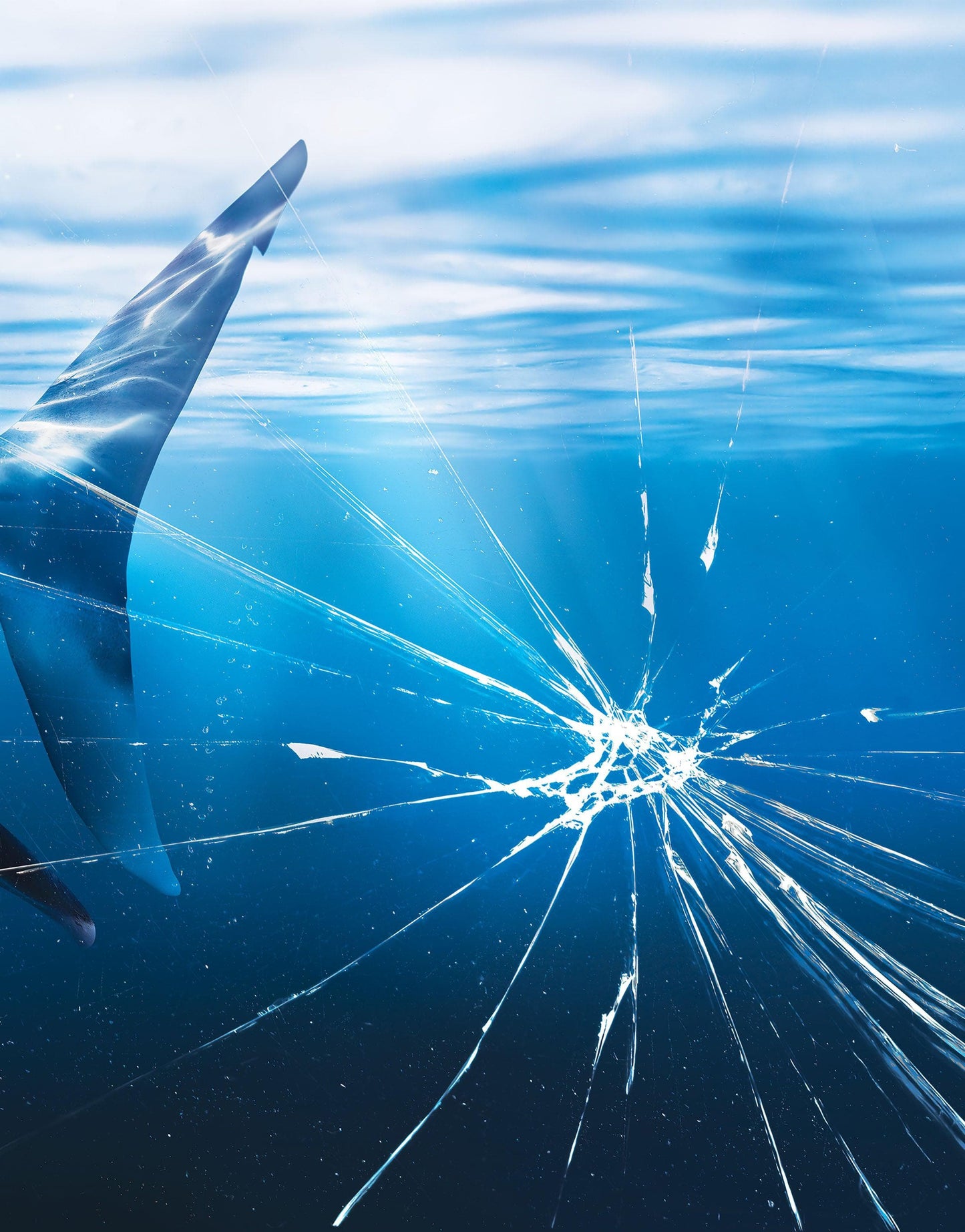 Great White Shark Attack Aquarium Glass Wall Mural. Peel and Stick Wallpaper. #6424