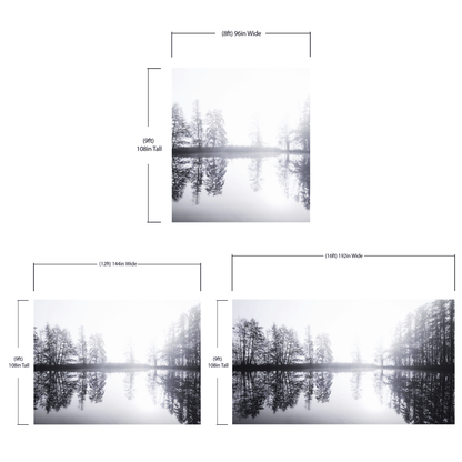 Foggy Woodland Wall Mural. Warm Grey Misty Forest Lakeview Peel and Stick Wallpaper. #6474