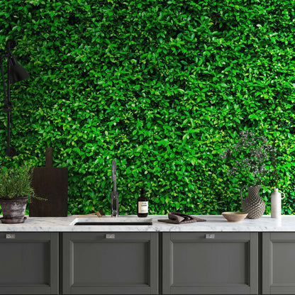 Greenery Grass Background Wallpaper Mural. #6551