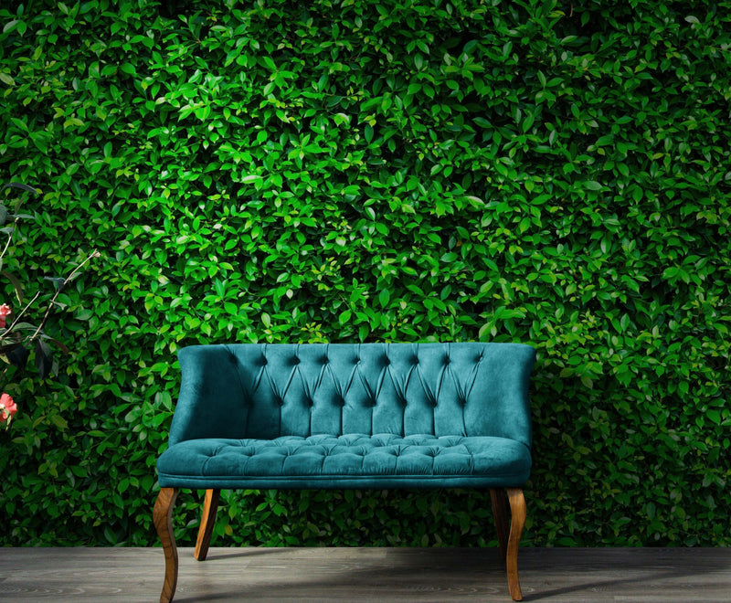 Greenery Grass Background Wallpaper Mural. #6551, view 2