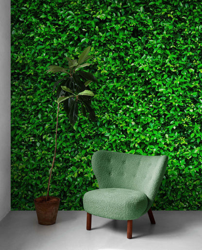 Greenery Grass Background Wallpaper Mural. #6551