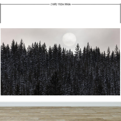 Foggy Forest Wall Mural. Peel and Stick Wallpaper. Monotone Grey Nature Wallpaper. Rain Forest Wall Mural. #6560