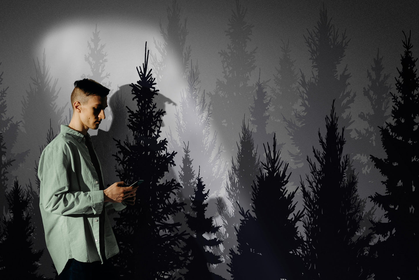 Black and White Pine Tree Forest Wallpaper. #6594