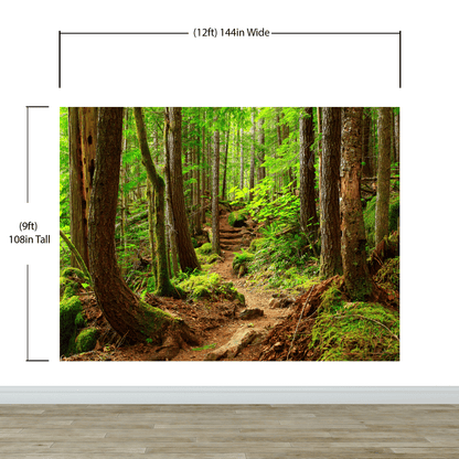 Green Forest Woodland Wall Mural – Nature's Embrace Peel and Stick Wallpaper #6647