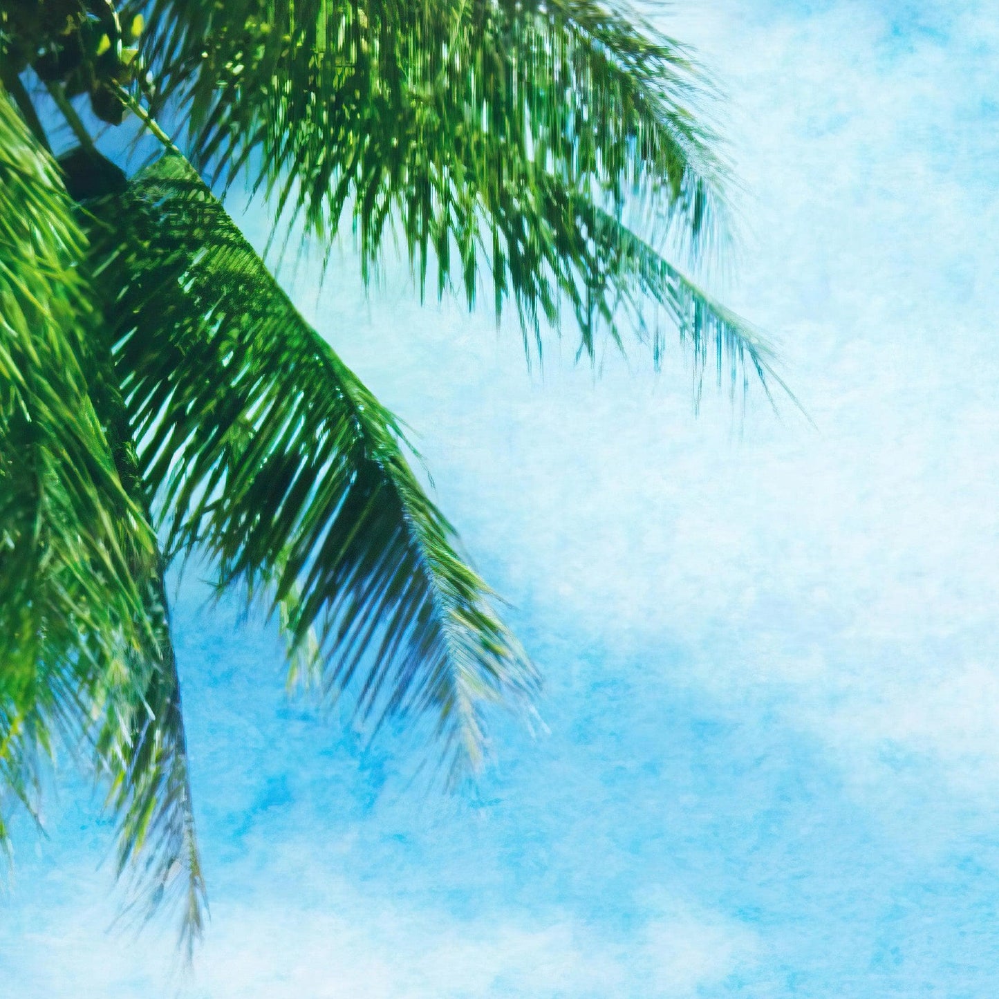 Tropical Palm Tree Wall Mural – Beach Shore Painting. #6911