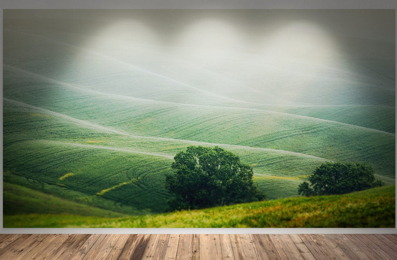 Tuscany Rolling Hills Meadow Wall Mural. Italian Countryside. #7053