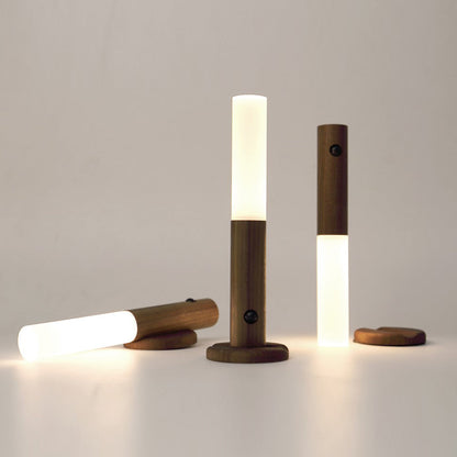 Motion Sensor Battery Light