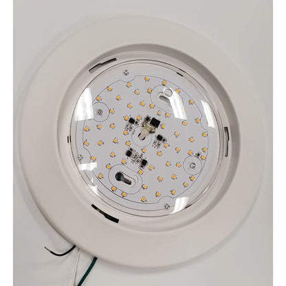 8" Bubble Lens Surface Mount Light Fixture