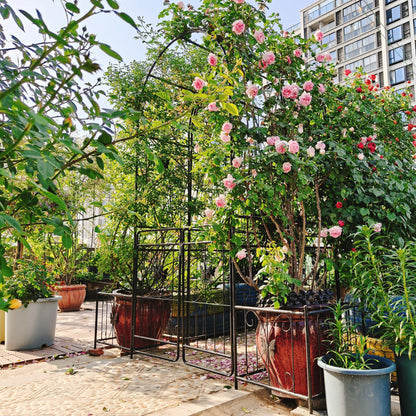 Metal Garden Arch With Gate High Climbing Plants Support Rose Arch Outdoor - Black