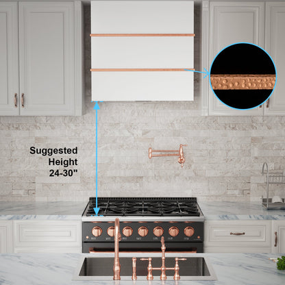 Akicon 30" Stainless Steel Wall Mount Range Hood with 600 CFM Vent Hood - AK-HS30HC-SW