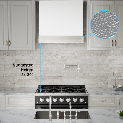 Akicon 30" Stainless Steel Wall Mount Range Hood with 600 CFM Vent Hood - AK-HS30HD-SW