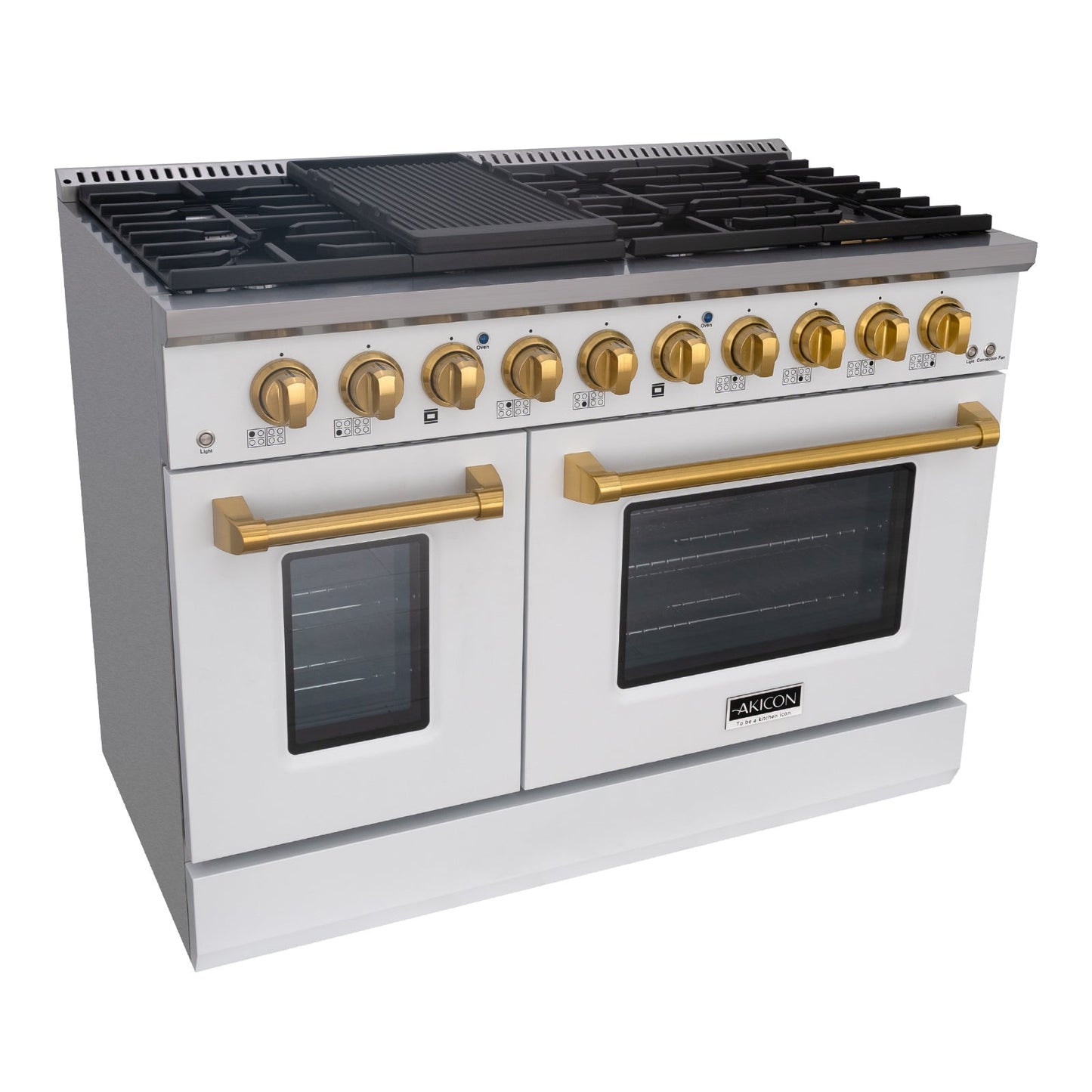 48" Slide-in Freestanding Professional Style Gas Range with 6.7 Cu. Ft. Oven, 8 Burners