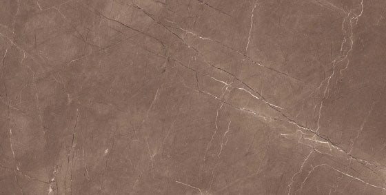 Almaty Choco Glossy 24x48 Vitrified Tile - NACS Collection