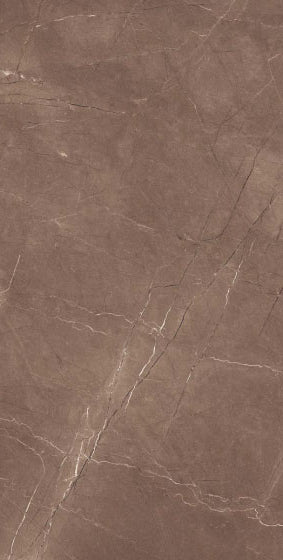 Almaty Choco Glossy 24x48 Vitrified Tile - NACS Collection