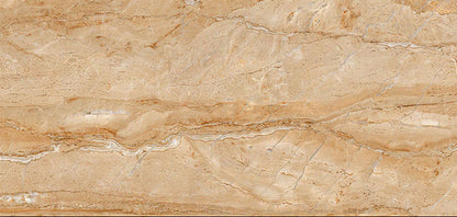 Amazon Dark Glossy 12x24 Wall Tile - NACS Collection